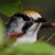 Linda Farrell's profile image