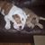 Teresa Lee Gabbeitt's profile image