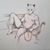 David Shannon's profile image
