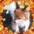 Gregorio N Mar Markoski's profile image