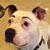 Scott Mitchell's profile image