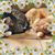Tina M. Kennedy's profile image