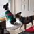Terri Gabold Kirchner's profile image
