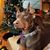 Tracy Hopkins's profile image