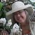 Sharon Sonnett's profile image