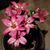 LaTrenda Johnson's profile image