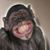 Aay Papi Rodriguez's profile image