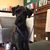 Terri Sullivan Sweeney's profile image