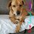 Cindy Debell's profile image