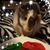 Rissa Parker's profile image