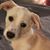 LeAnn Millican-Stephenson's profile image