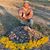 Linze Sampson's profile image