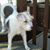 Linda Dayle Veldheer's profile image