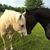 Patty Utterback's profile image