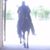 Junito la Santa's profile image