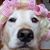 Marlene Smith Clowers's profile image