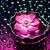 Maribel Rivera's profile image