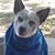 Daun Hartrim's profile image
