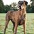 Kenneth Brown's profile image