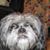 Marliese Tipton's profile image