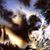 Cathy Courtemanche's profile image