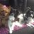 Grace Graybill's profile image