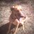 Sherry Roberts's profile image