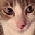 Patty Cutshall's profile image