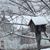 Karen Gephart Randolph's profile image