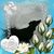 Diane Duckworrh's profile image