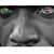 Nyce Black's profile image
