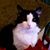 Diana Pascarella's profile image