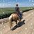 Kathy Hodson's profile image
