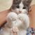 Missy Lee's profile image