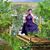 Beulah Thomas's profile image