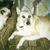 Terri Lynn Merritts's profile image
