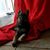 Lisa Pettit's profile image