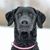Melissa Kime's profile image
