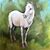 Teresa Raphael Dickenson's profile image