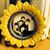 Patti Taylor's profile image