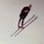 Will Haapala's profile image