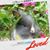 Sharon Gray's profile image