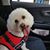 Lisa Jane Scutt's profile image