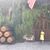 Viviana Melendez-Chapman's profile image