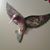 Debbie Fletcher's profile image