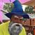 David Carver's profile image