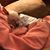 Kelly Reifschneider Totten's profile image