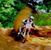 Rick Bracey's profile image