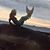 Maria Elena Arata's profile image