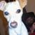 Bj Thayer's profile image